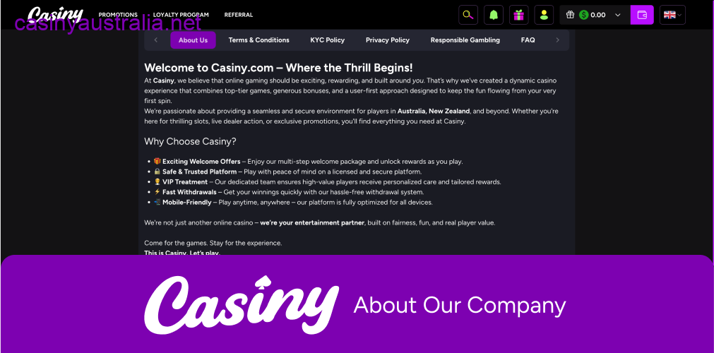 Casiny company information privacy policy
