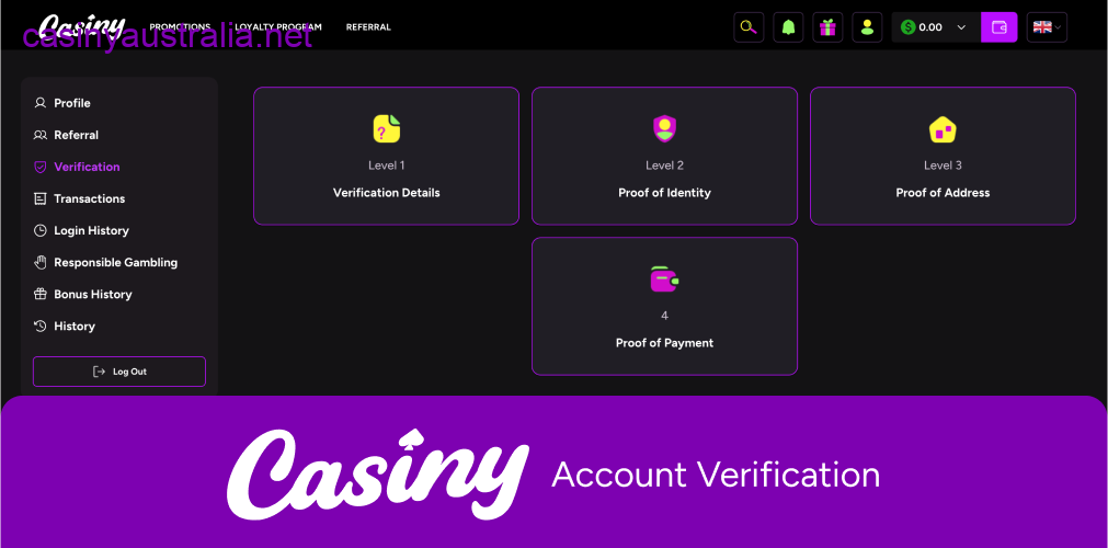 Casiny Account Verification Screenshot