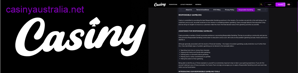 Casiny responsible gambling program overview