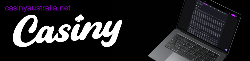 Casiny terms and conditions overview