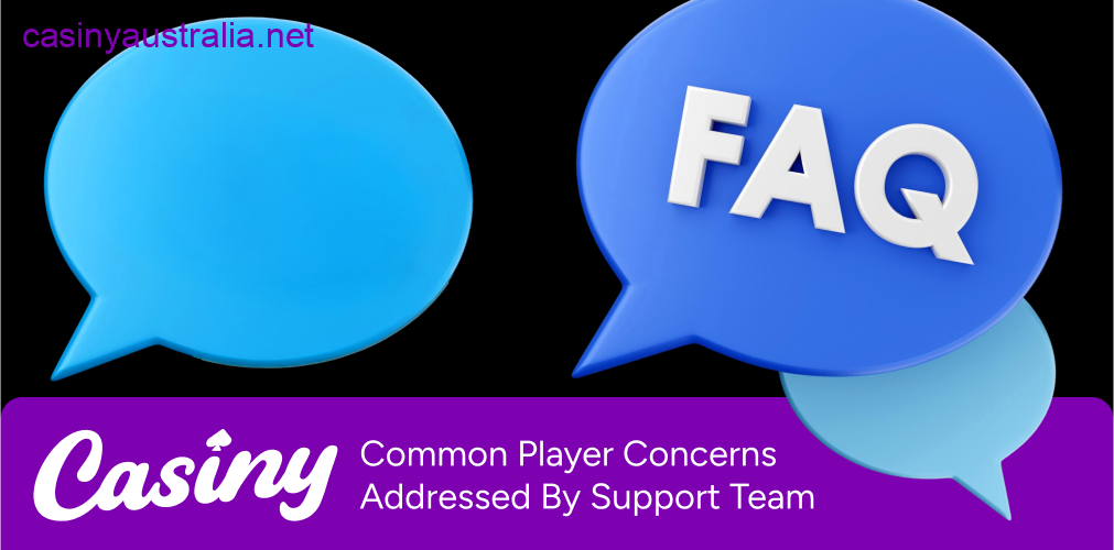 Casiny player concerns support help