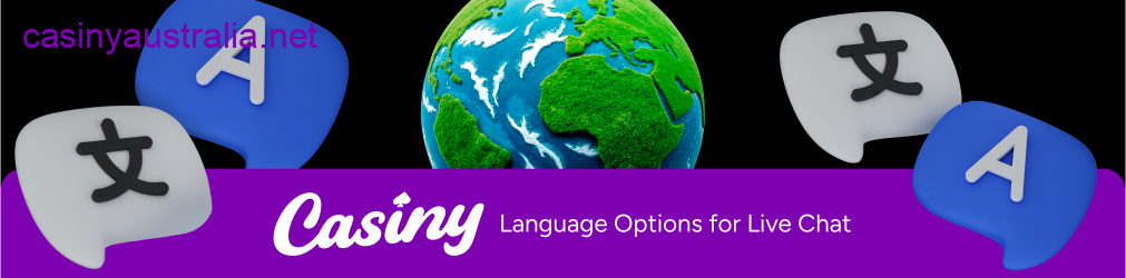 Casiny live chat language options