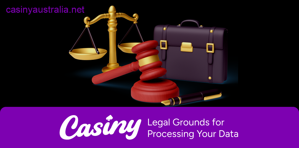 Casiny legal grounds data processing