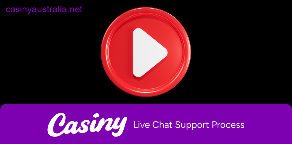 Casiny live chat support process
