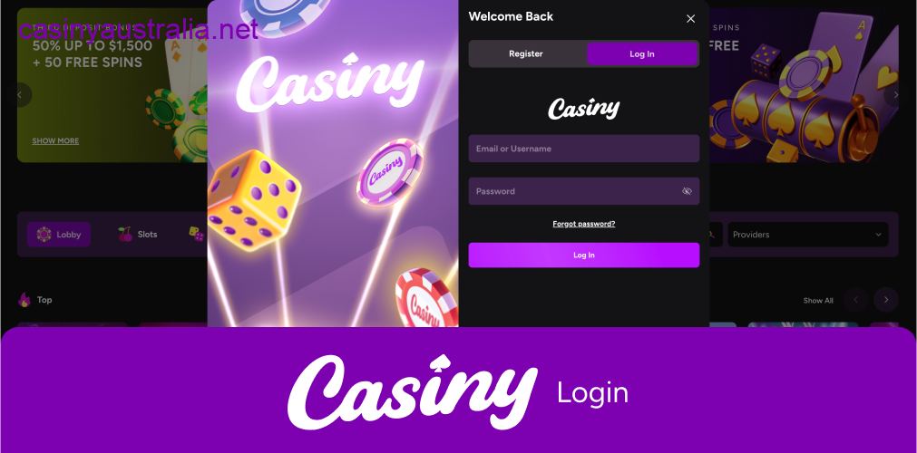 Casiny secure login account access