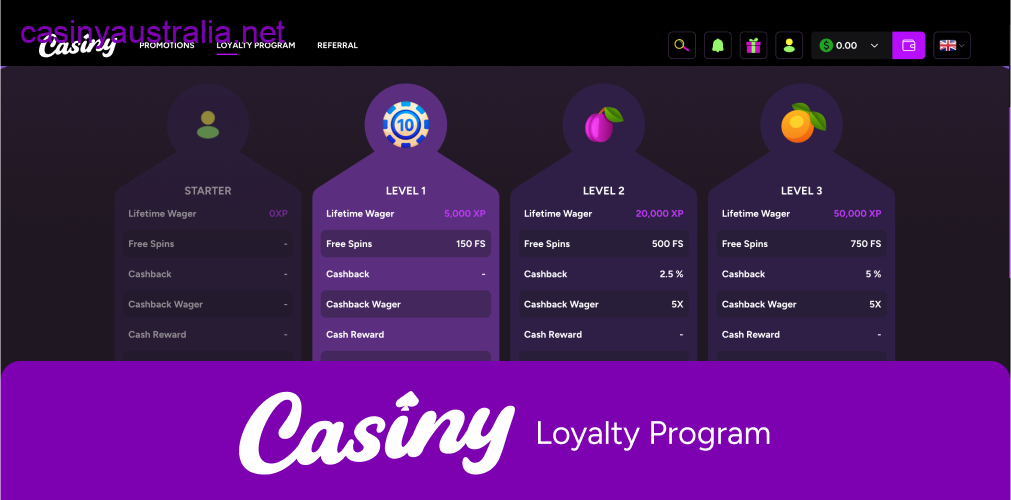 Casiny VIP loyalty program benefits