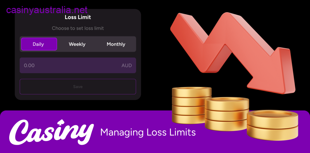 Casiny loss limits management