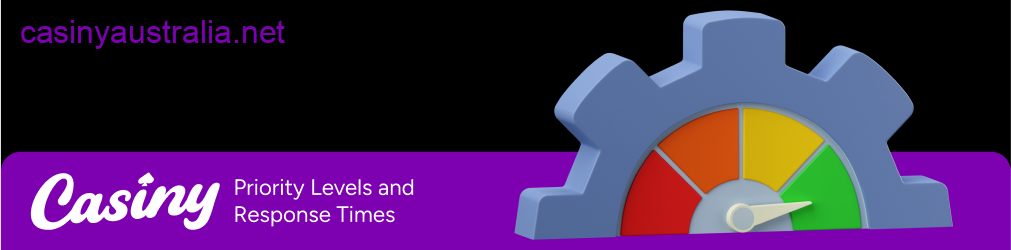 Casiny support priority response times