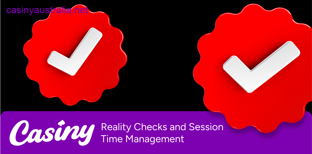 Casiny reality checks session management