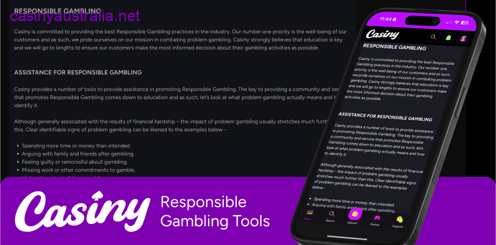 Casiny responsible gambling tools mobile