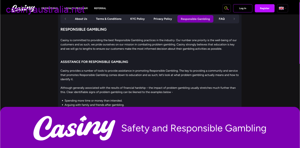 Casiny safety responsible gambling tools