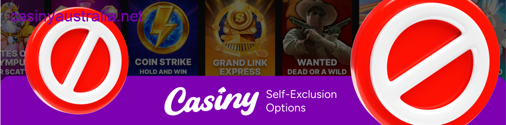 Casiny self-exclusion options guide