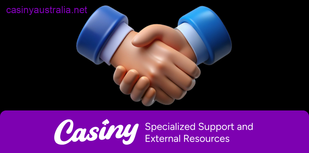Casiny external responsible gambling support