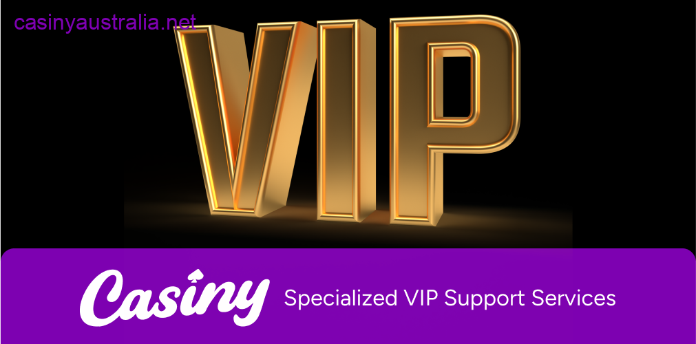 Casiny VIP support services