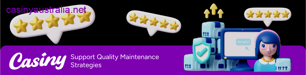 Casiny support quality strategies