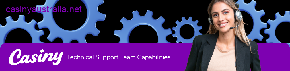 Casiny technical support capabilities