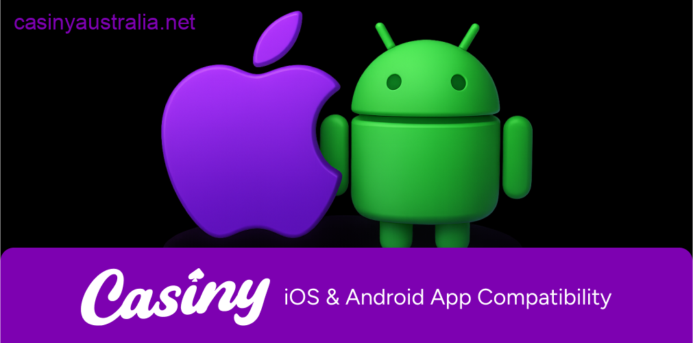 Casiny app iOS Android compatibility