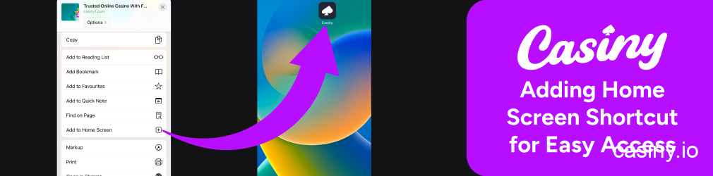 Add Casiny app shortcut home screen