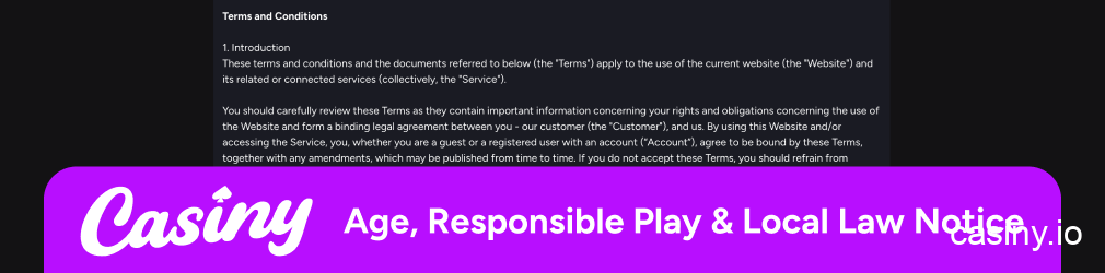 Casiny responsible gaming and age policy