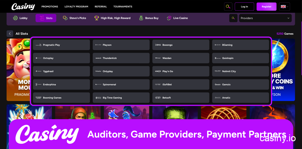 Casiny auditors and trusted partners info