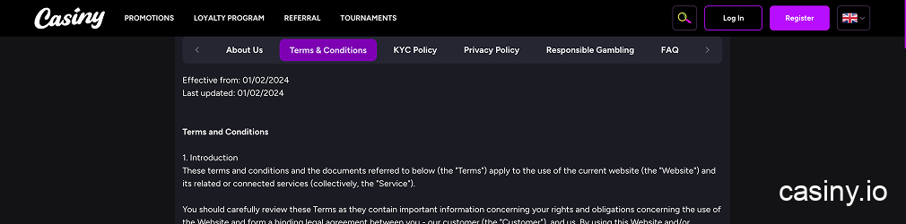 Casiny casino Australia terms overview 2025