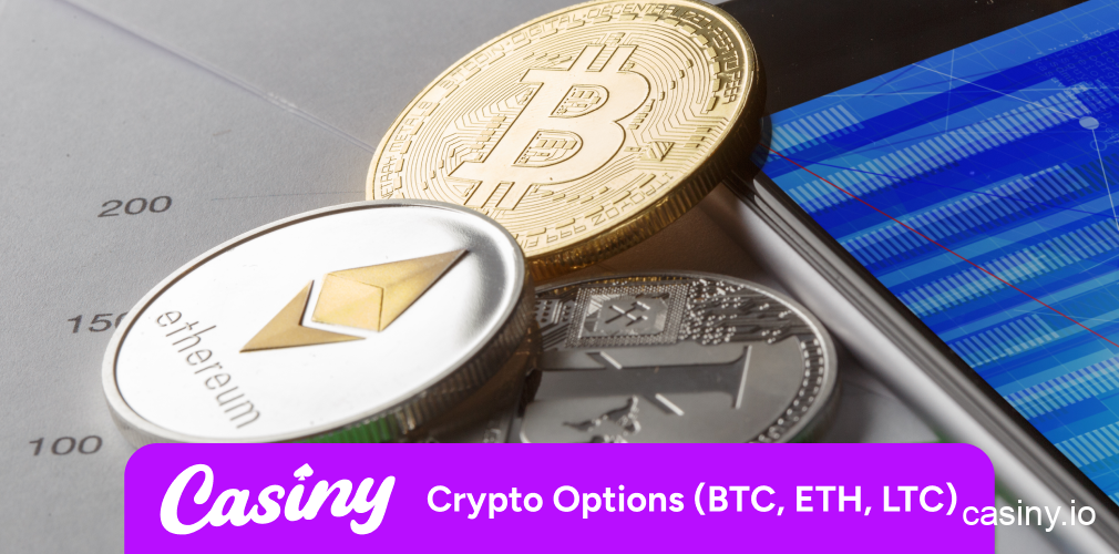 Casiny cryptocurrency deposits and withdrawals