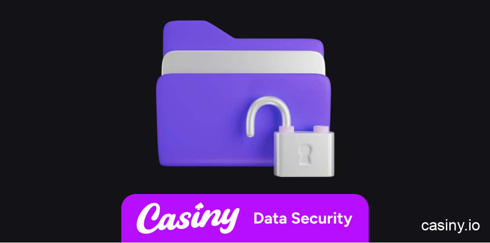 Casiny SSL encryption and data protection