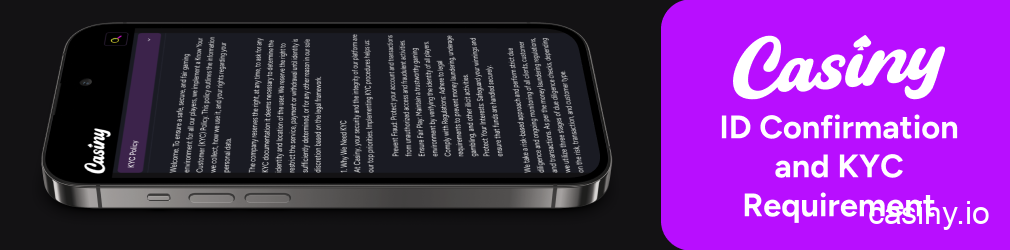 Casiny KYC identity verification process