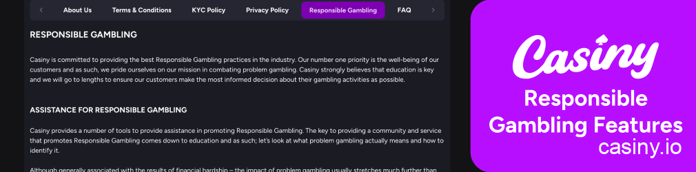 Casiny responsible gambling tools mobile