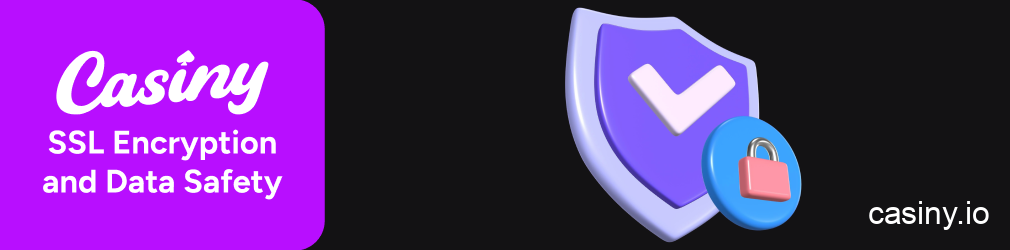 Casiny SSL encryption data protection