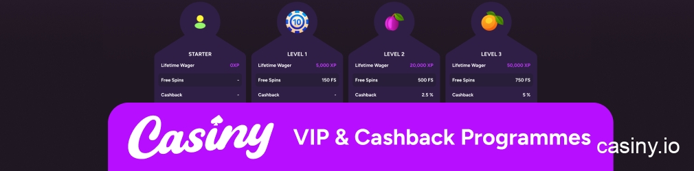 Casiny VIP and cashback programs info